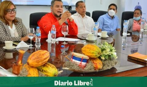 Feda will promote cocoa and chocolate production