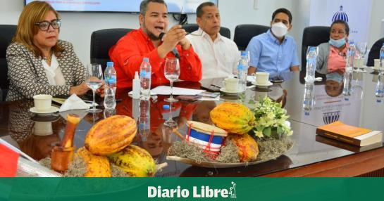 Feda will promote cocoa and chocolate production