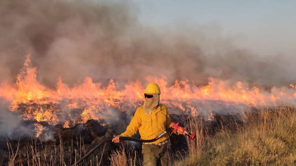 Fires in Corrientes: how many sources remain active and when will more rains arrive?