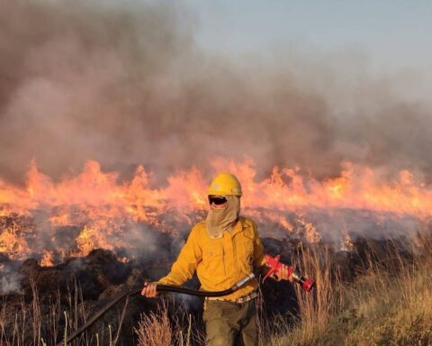 Fires in Corrientes: how many sources remain active and when will more rains arrive?