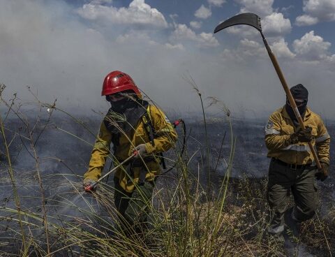 Forest fires: there are active outbreaks in Corrientes and Río Negro