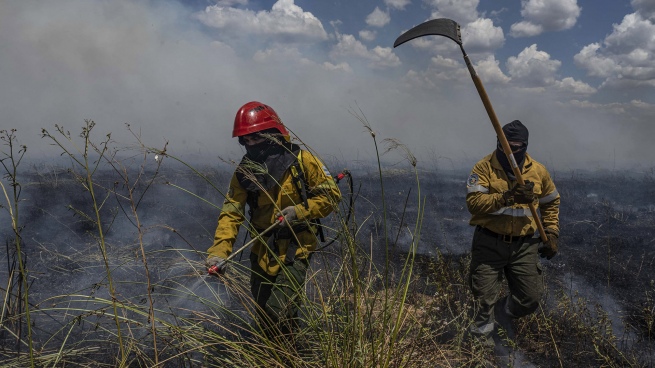 Forest fires: there are active outbreaks in Corrientes and Río Negro