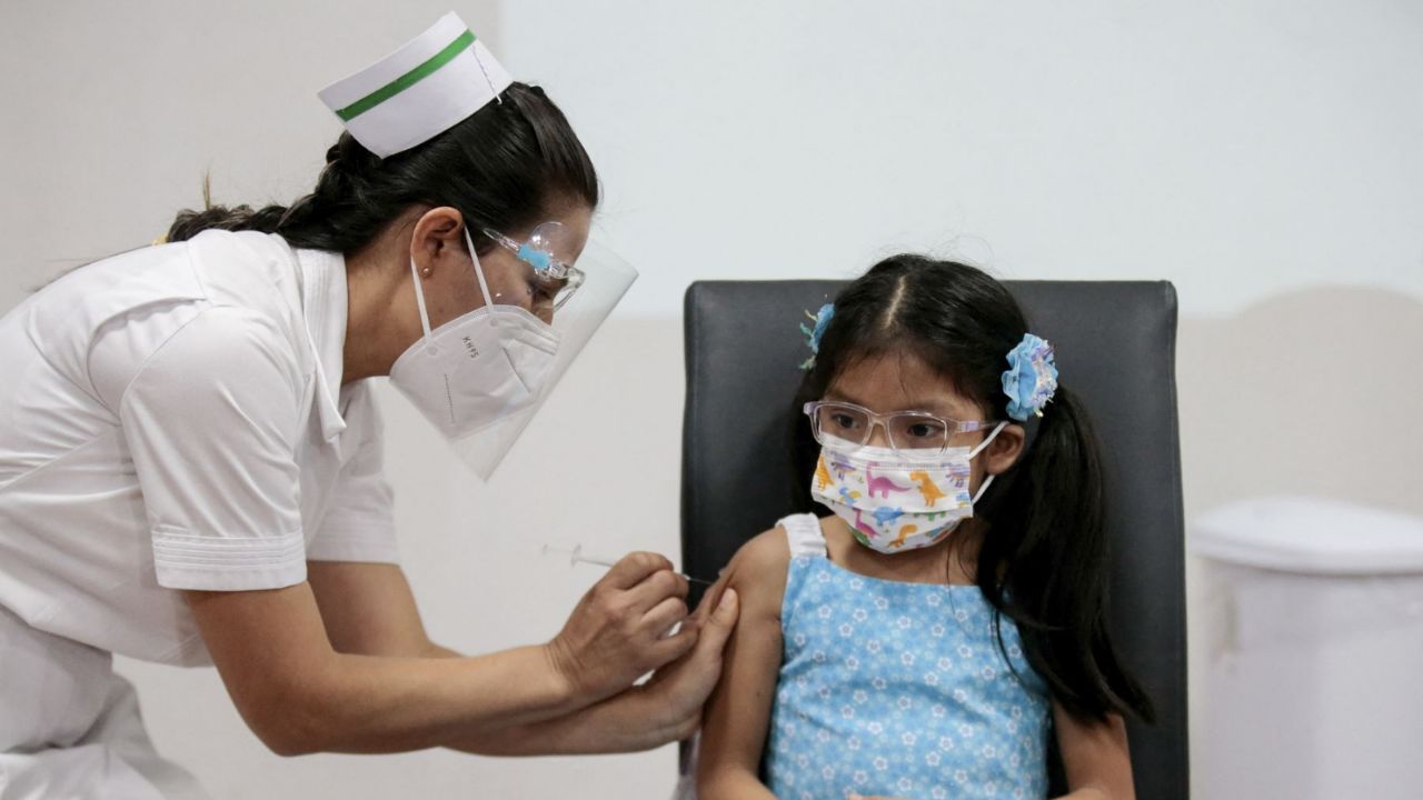 Given the increase in cases of influenza, Argentina will advance the flu vaccination campaign
