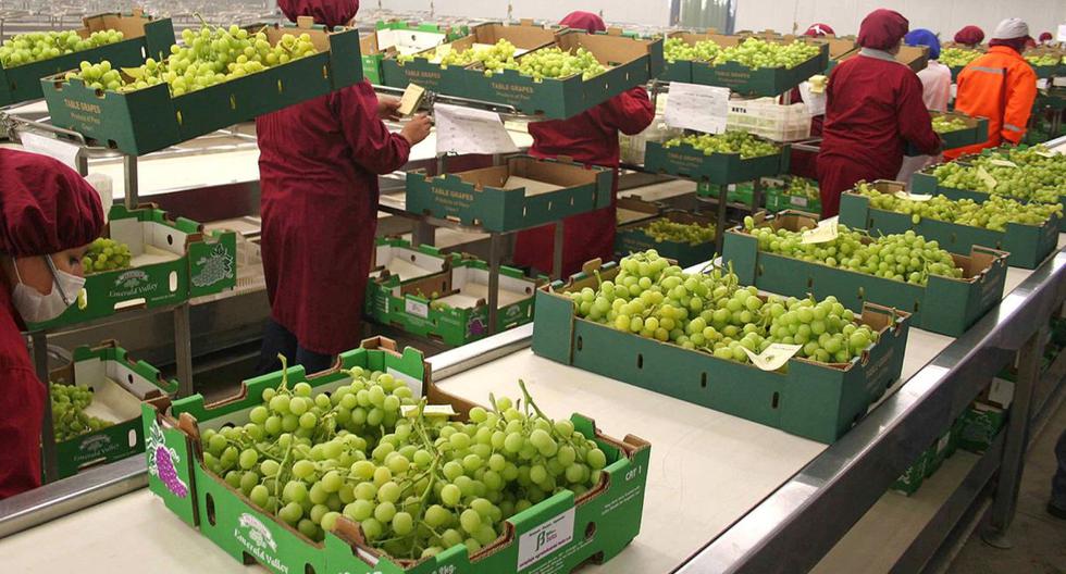 Global food sales could reach US$10.6 billion by 2025