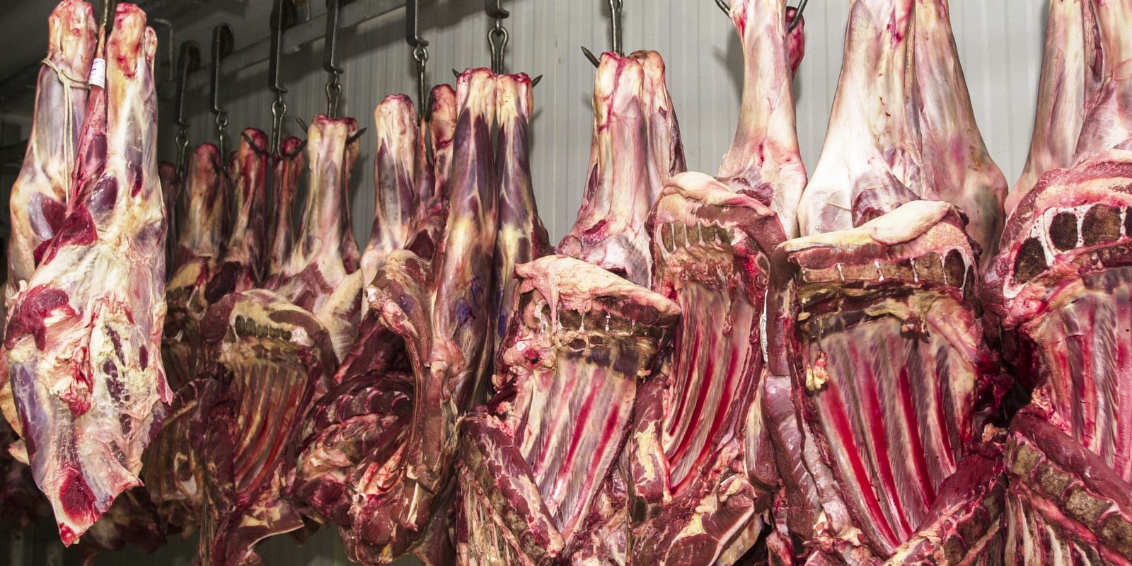 Government wants to expand municipalities that inspect animal products