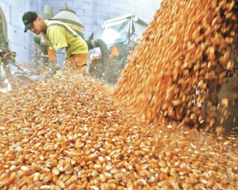 Grains lead companies to lose 24,661 million pesos on the Stock Market