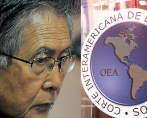 Inter-American Court could make a decision on pardoning Fujimori if Blume's paper is taken into account