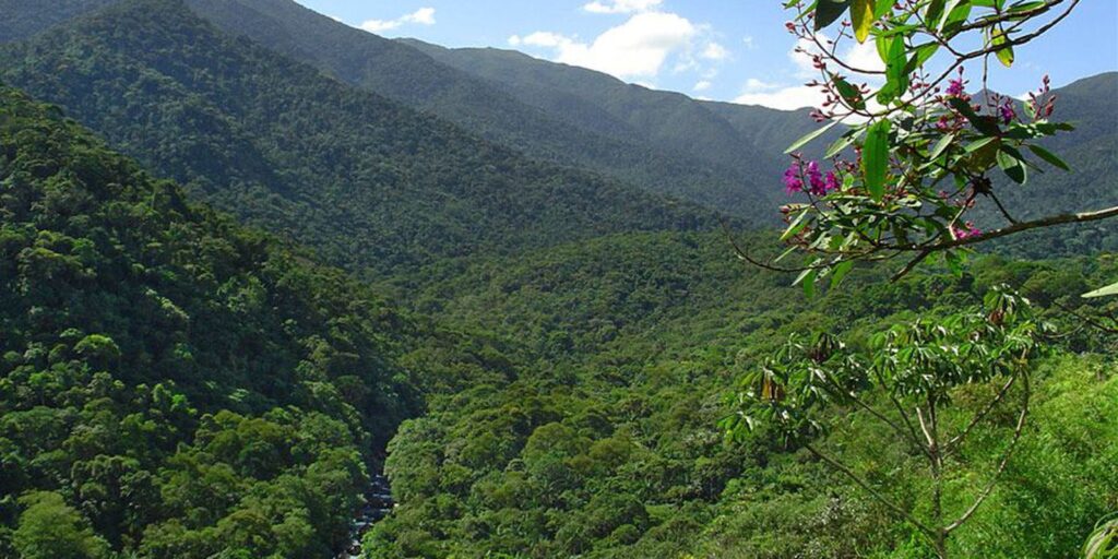 Itatiaia voters return to the polls this Sunday