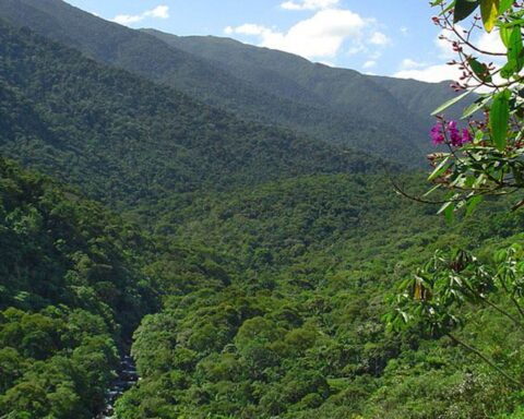 Itatiaia voters return to the polls this Sunday