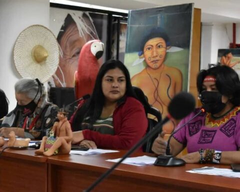 Minister of Indigenous Peoples accompanies actions of the MP on events in Amazonas