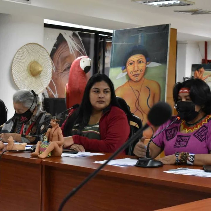 Minister of Indigenous Peoples accompanies actions of the MP on events in Amazonas