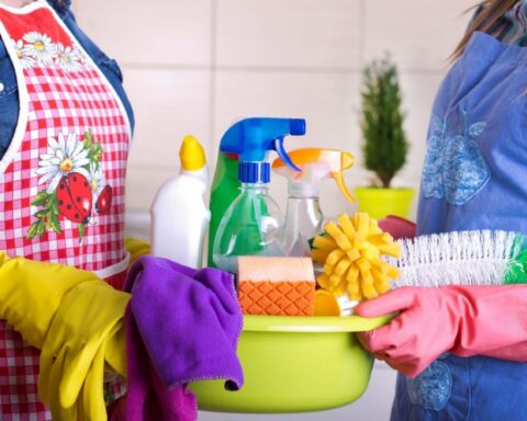 New salary increase for domestic workers: this week the Government will discuss the adjustment
