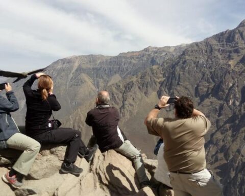 Pass to the Colca Canyon enabled, after blockade due to earthquakes