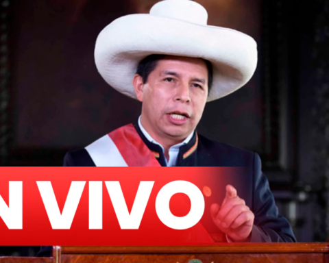 Pedro Castillo LIVE: Congress will seek to admit a new vacancy process against the president