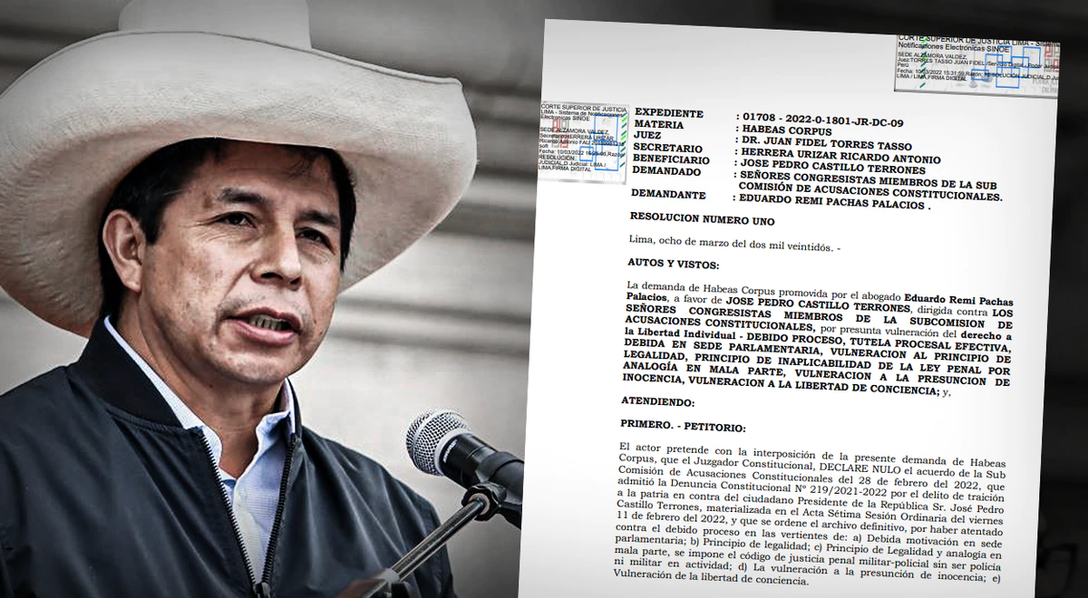 Pedro Castillo files a petition for habeas corpus against the Subcommittee on Constitutional Accusations