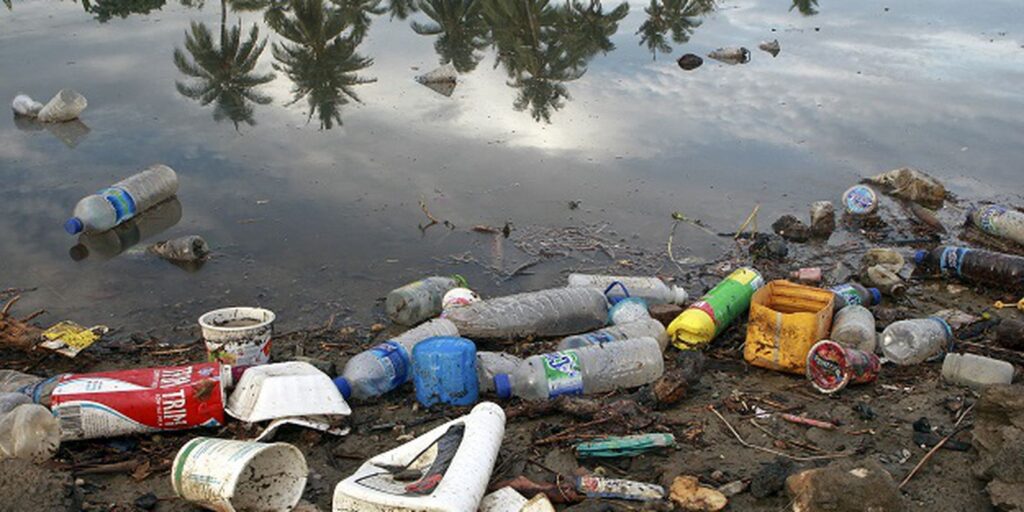 Plastic corresponds to 48.5% of the items found in the Brazilian sea