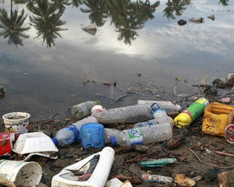 Plastic corresponds to 48.5% of the items found in the Brazilian sea