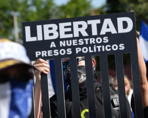 Political prisoners and democracy, among the main challenges of the opposition