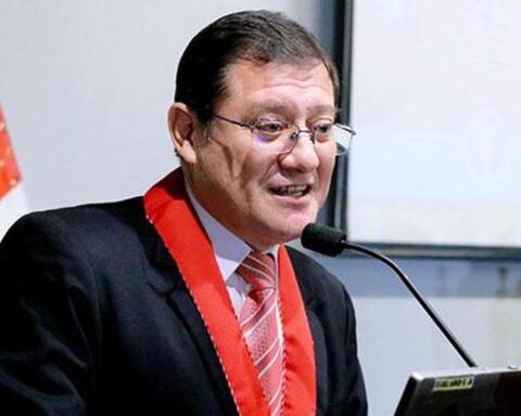 Prosecutor Chávez: Investigation of Pedro Castillo's advisers will evaluate whether the complaint was made with a false signature