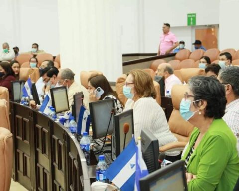 Diputados Asamblea Nacional