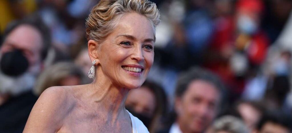 Sharon Stone will be the new villain of the DC Universe