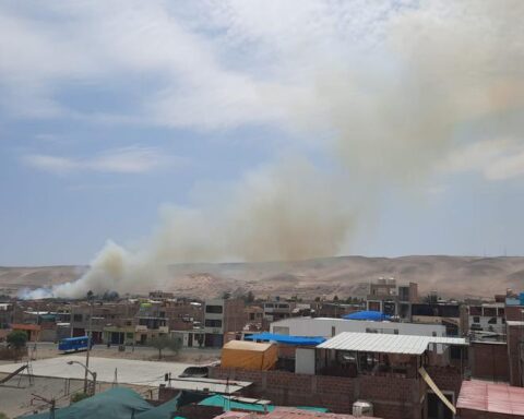 Tacna: people with addictions cause forest fire