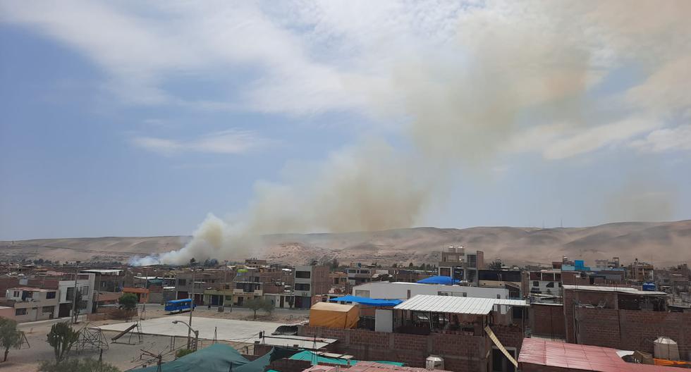 Tacna: people with addictions cause forest fire