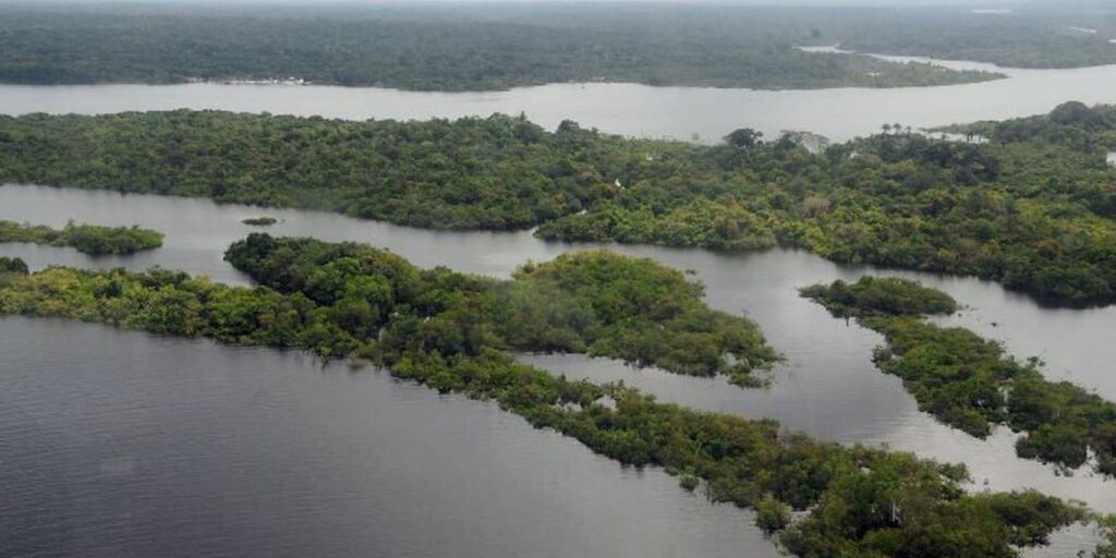 Task Force in Defense of the Amazon will remain in the region for another year