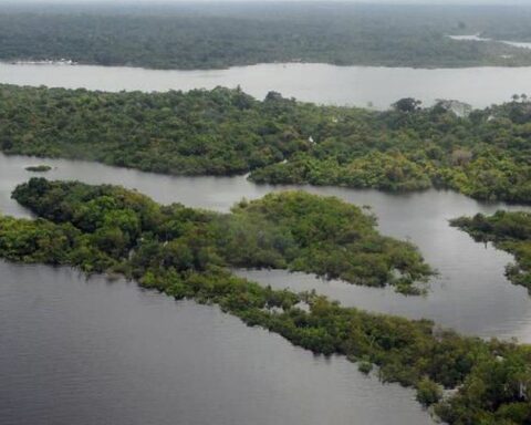 Task Force in Defense of the Amazon will remain in the region for another year