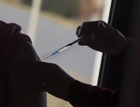 The Argentine vaccine against the coronavirus will start Phase 1