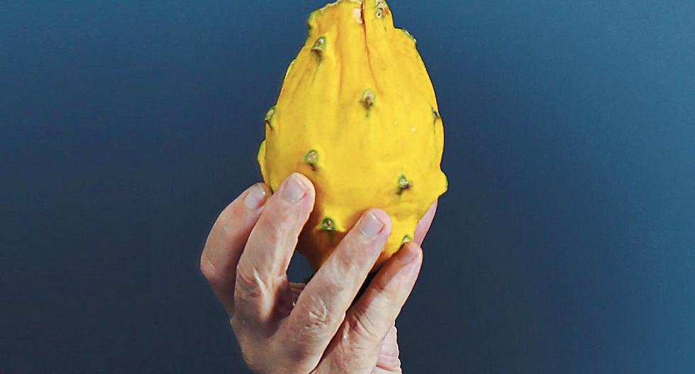 The Latin American pitahaya sees a great future in the Asian and North American market