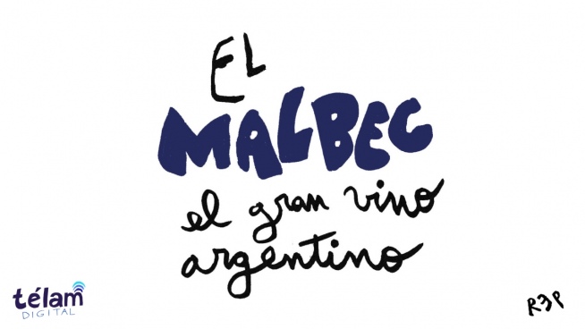 The Malbec: "The Great Argentine Wine" by REP
