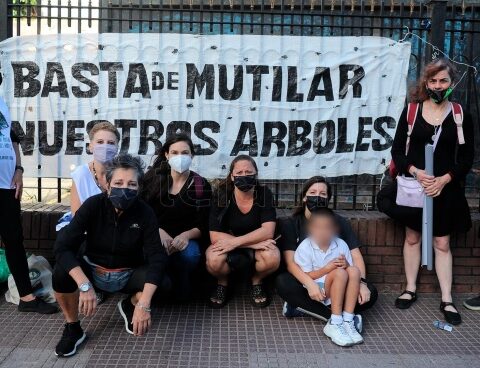 The Ombudsman's Office complained about the felling of trees on Paseo Colón Avenue