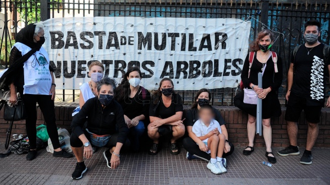 The Ombudsman's Office complained about the felling of trees on Paseo Colón Avenue