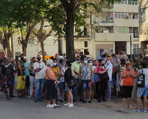 The potato harvest in Cuba will fall to historic lows this year