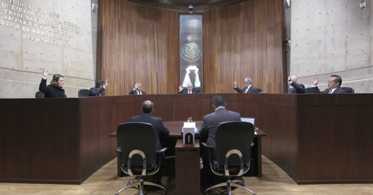 The pre-campaign acts concentrate the sentences of the Electoral Court