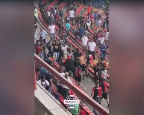 They condemn the tragic fight that left 17 dead in a stadium in Mexico