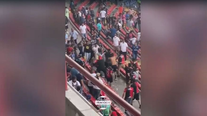 They condemn the tragic fight that left 17 dead in a stadium in Mexico