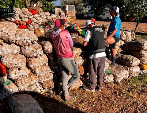 They detected labor exploitation in potato fields in San Luis and Córdoba