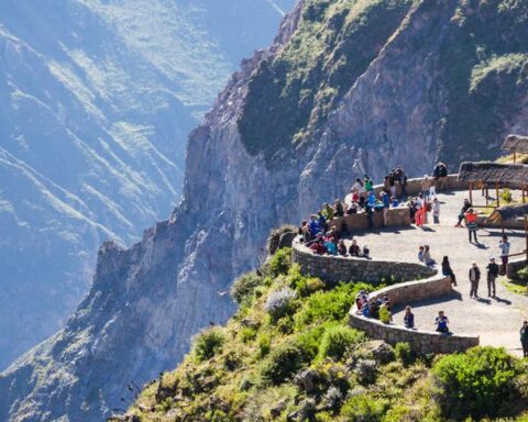 They enable access to the Cruz del Cóndor viewpoint in Arequipa after cleaning stones on the road