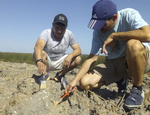 They found 20,000-year-old sloth bones in a tosquera in San Pedro