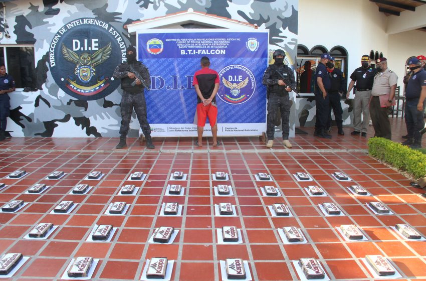 They seized 205 panels of cocaine in Falcón