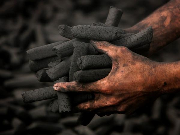 They warn about the shortage of coal for thermal generation