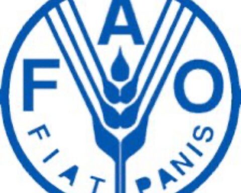 Venezuela welcomes the appointment of Nicaragua as vice-president of the FAO forum