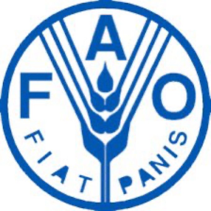 Venezuela welcomes the appointment of Nicaragua as vice-president of the FAO forum