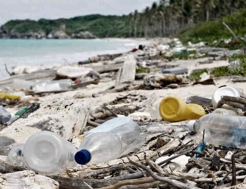 We eat and breathe plastic: warning from scientists and a historic UN agreement