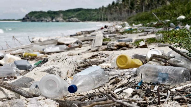 We eat and breathe plastic: warning from scientists and a historic UN agreement