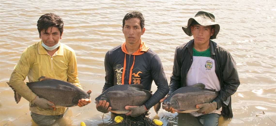 With Bs 265 million, the Government seeks to strengthen fish production in Bolivia