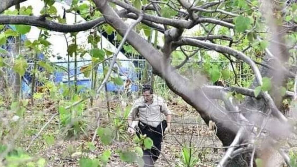 A Nicaraguan identified as Leónidas Centeno dies in Costa Rica