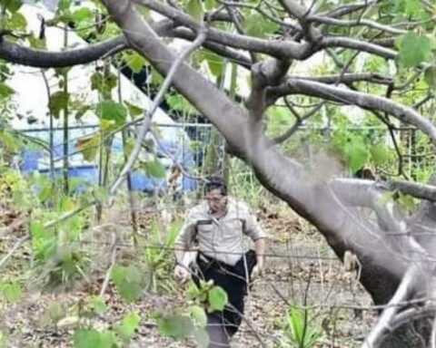 A Nicaraguan identified as Leónidas Centeno dies in Costa Rica